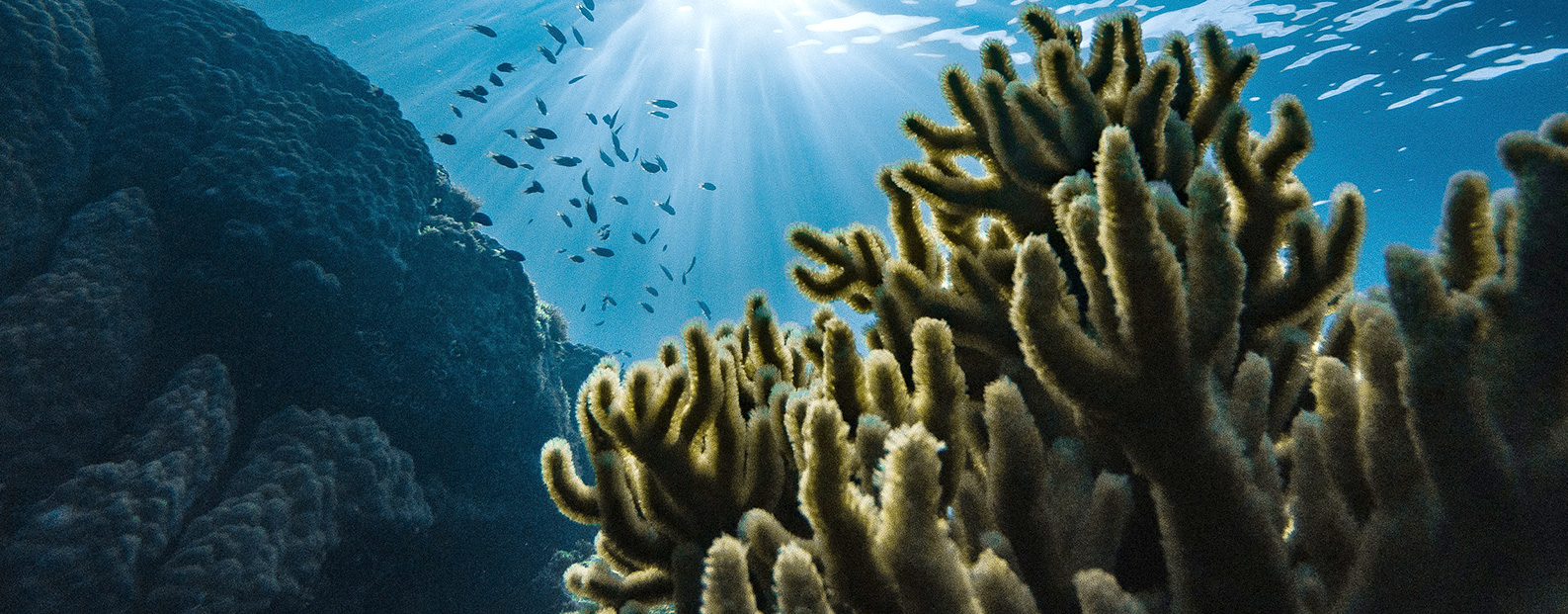 三達(dá)膜中水回用、陶瓷膜、石墨烯膜、黑金膜公眾號(hào)，歡迎您掃碼關(guān)注！