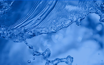 公司董事長藍偉光博士做客廈門大學校友論壇